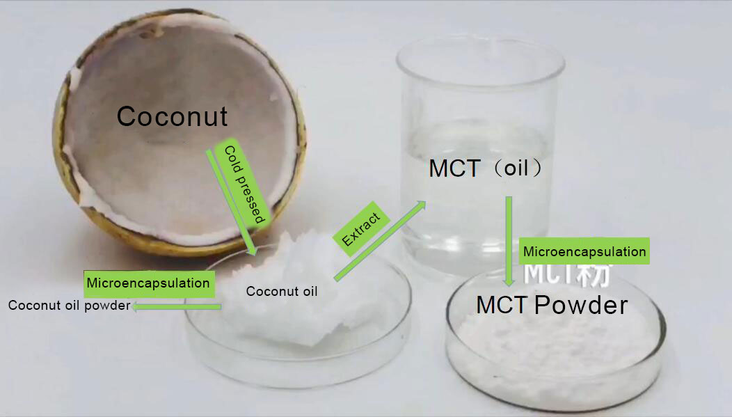 2022 The Complete Guide To Mct Oil Powder The Ultimate Guide 1910